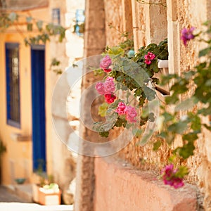 Summer in Greece Crete, Chania old town