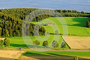 Summer green countryside by sunset light