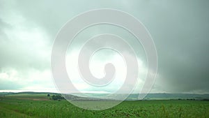 Summer green field with low clouds