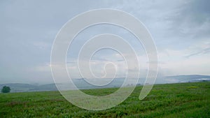 Summer green field with low clouds