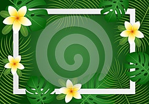 Summer greeting card, banner, background with plumeria flower and tropical leaves  on dark green background. copy space