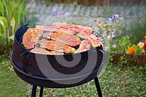 Summer grilling in garden