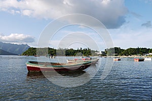 summer group of boat at the sea coast