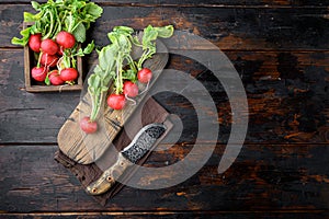 Summer harvested red radish. Growing organic vegetables. Large bunch of raw fresh juicy garden radish , on old dark  wooden table