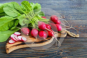 Summer harvested red radish. Growing organic vegetables.