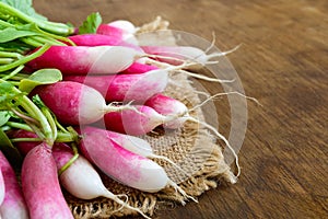 Summer harvested red radish. Growing organic vegetables