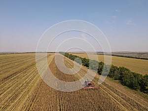 summer harwesting sunflower drone aero foto field