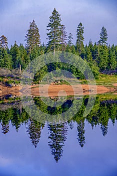 Summer in the Harz mountains, Germany. Historic Oderteich water reservoir near Sankt Andreasberg, component of the Upper Harz