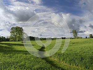 Summer Hayfield in the Hudson Valley