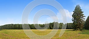 Summer hayfield landscape