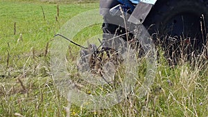 Summer haymaking in meadow