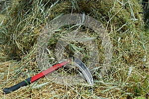 summer haymaking using a hand braid