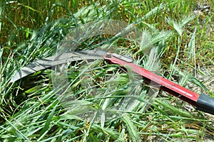 summer haymaking using a hand braid