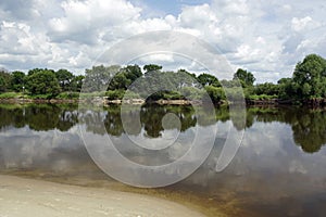 Summer heat. The Pripyat river in July. Clouds and sky. Oaks and trees on the shore.