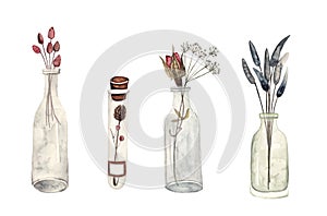 Summer herbarium. Dried flowers and plants in glass bottles, watercolor illustration