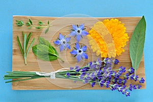 Byliny a jedlý květiny na dřevěný deska 