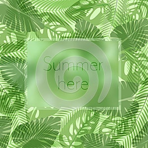 The summer here lettering in a frame on the background of fresh tropic green leaves poster. Modern Exotic banner.