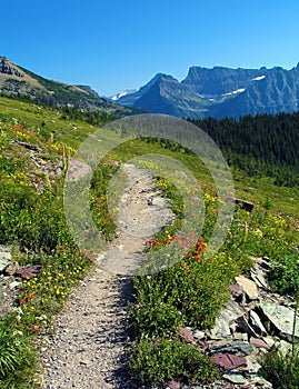 Summer on the Highline