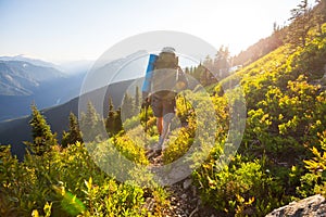 Summer hike