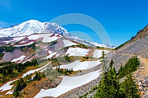 Summer Hike at Mount Rainier National park with view of Mt.Rainier.