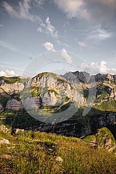 summer hikking in the swiss mountains, green grass and sunny day