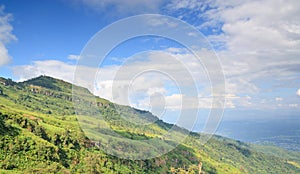 In the summer, the hills are high, with many trees interspersed with green grass and blue sky landscapes with white clouds behind