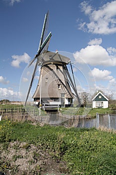 Summer in Holand  photo