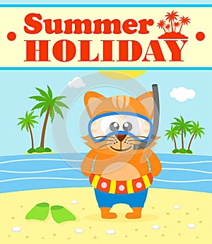 Summer holiday background with cat