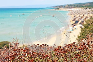 Summer holiday background. Greece beach. photo
