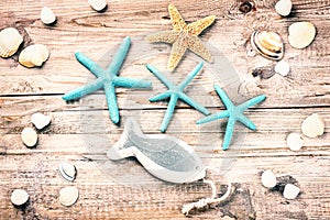 Summer holiday background with seashells and decorative fish