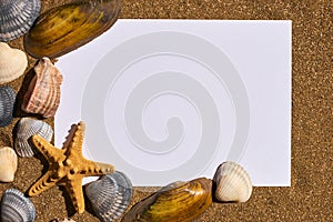 Summer holiday beach concept with shells