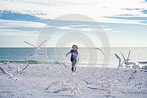 Summer holiday. Child chasing birds near summer beach. Excited boy running on the beach with flying seagulls birds.