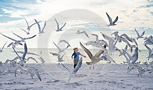 Summer holiday. Child run on the seagulls on the beach, summer time. Cute little boy chasing birds near sea on summer