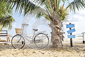 Summer holiday concept, bicycle and coconut tree on the beach, tropical and summer season