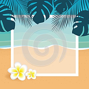 Summer holiday frame on the palm beach with frangipani tropical flower