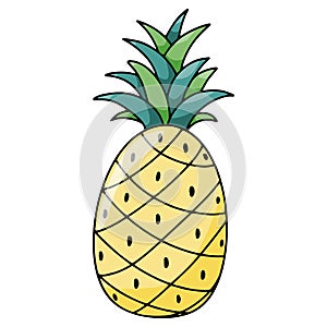 Summer holiday fruit pineapple hand drawn vector illustration isolated