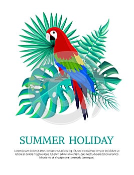 Summer Holiday Text Poster Vector Illustration