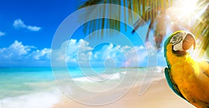 summer holiday on tropical sea sandy beach banner design with copy space