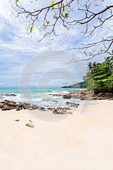 Summer holiday and vacation background concept of beautiful leaves frame trees