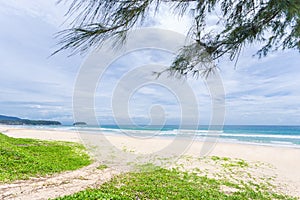 Summer holiday and vacation background concept of beautiful leaves frame trees