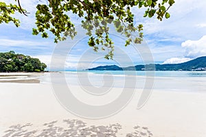 Summer holiday and vacation background concept of beautiful leaves frame trees on tropical beach