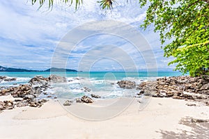 Summer holiday and vacation background concept of beautiful leaves frame trees on tropical beach