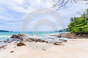 Summer holiday and vacation background concept of beautiful leaves frame trees on tropical beach