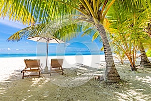 Summer holiday and vacation design. Inspirational tropical beach, palm trees and white sand