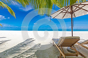 Summer holiday and vacation design. Inspirational tropical beach, palm trees and white sand blue sunny sea sky