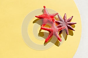 Summer holiday yellow background with border frome colorful toys, star fish,.