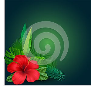 Summer holidays banners with tropical flowers - vector illustration. 3d flowers. Beautiful background with tropical plants on