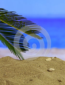 Summer holidays concept. Sandy beach with palm tree, sun, blur sea background