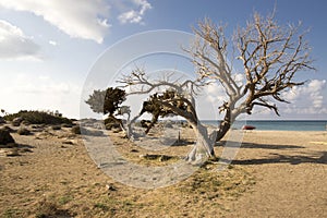Summer holidays on Elafonisi beach, southwestern corner of Greek island Crete