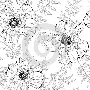 Summer holidays garden Delicate black white pattern of peony flowers. Roses, peony, anemones and eucalyptus, succulent.